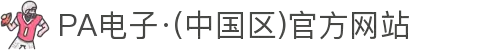 PA电子·(中国区)官方网站